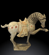 Carica l'immagine nel visualizzatore di Gallery, Coppia Cavalli in Terracotta risalenti alla Dinastia Tang