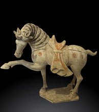 Carica l'immagine nel visualizzatore di Gallery, Coppia Cavalli in Terracotta risalenti alla Dinastia Tang