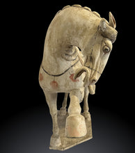 Carica l'immagine nel visualizzatore di Gallery, Coppia Cavalli in Terracotta risalenti alla Dinastia Tang