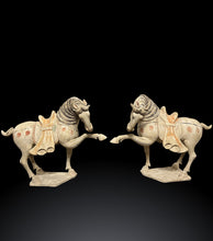 Carica l'immagine nel visualizzatore di Gallery, Coppia Cavalli in Terracotta risalenti alla Dinastia Tang