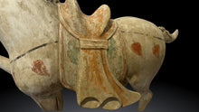 Carica l'immagine nel visualizzatore di Gallery, Coppia Cavalli in Terracotta risalenti alla Dinastia Tang